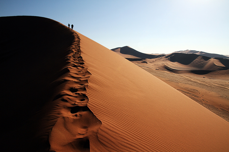 IMG_08979_7D_800.jpg - "Wanderdüne", Sossusvlei, Namib