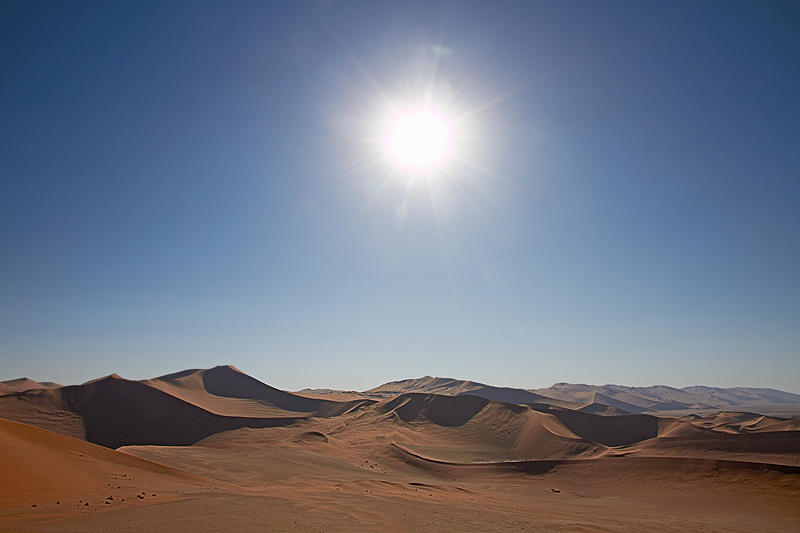 IMG_08996_7D_800.jpg - Namib