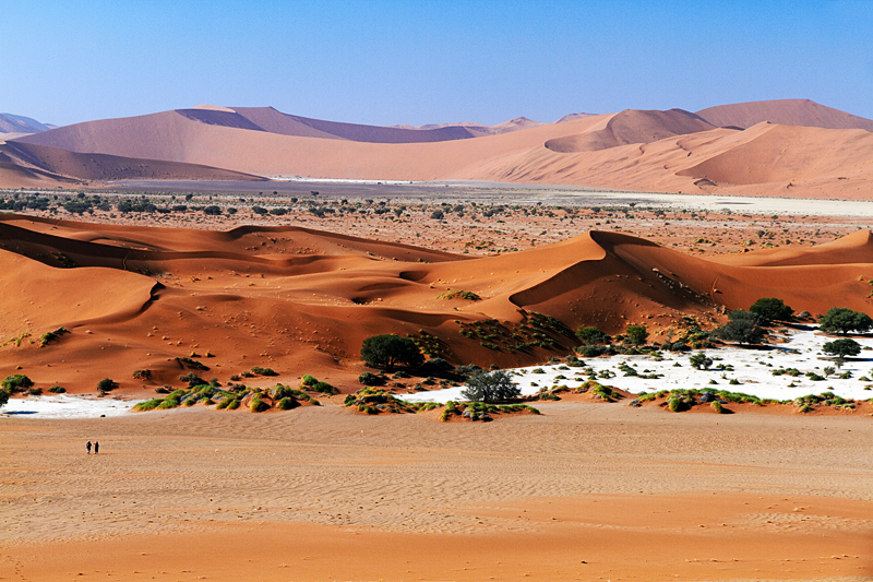 IMG_09013_7D_800.jpg - Sossusvleii, Namib