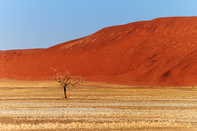 IMG_09081_7D_800.jpg - Zufahrt zum Sossusvlei, Namib