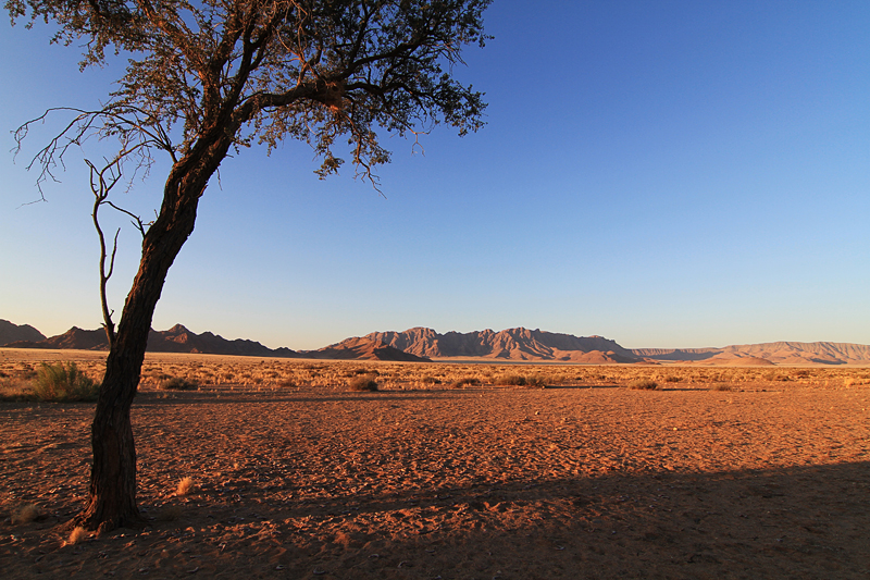 IMG_09141_7D_800.jpg - Sesriem