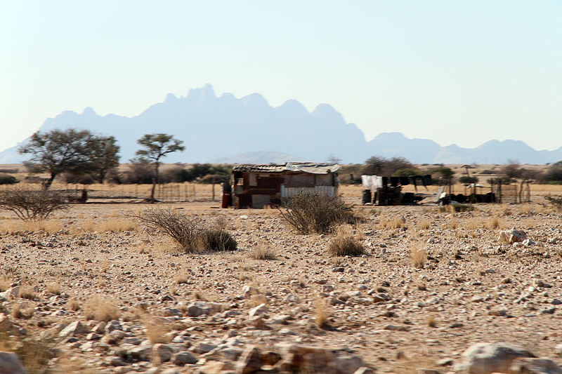 IMG_09825_7D_800.jpg - ...auch Arika!