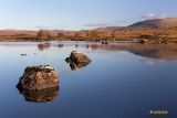 Rannoch Moor