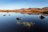 Rannoch Moor (3)