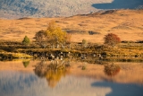 Rannoch Moor (2)