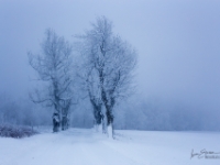 Winterstimmung, Böhmen  6D 102574 NAL © Iven Eissner : Aufnahmeort, Böhmen, Europa, Tschechien