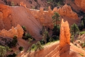 Bryce_1857