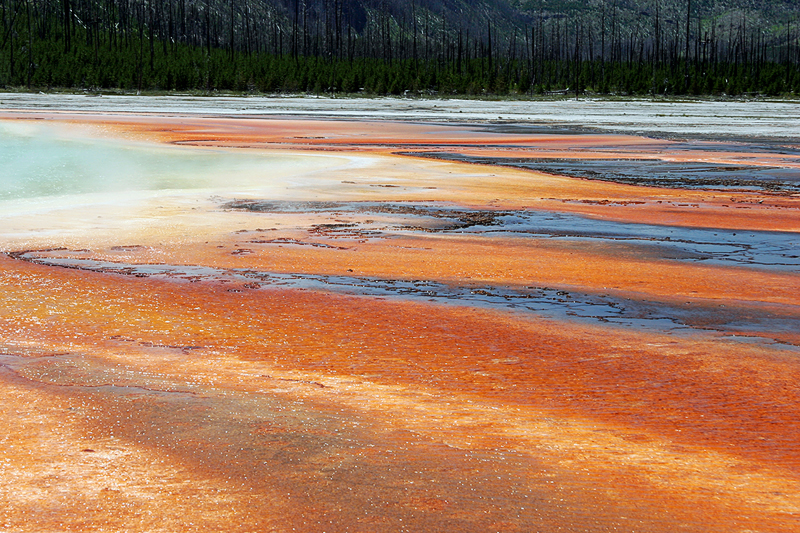 IMG_8068_800.jpg - Midway Geyser Basin, Yellowstone NP