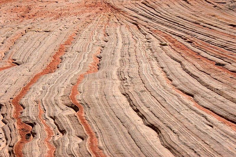 IMG_1174_800.jpg - Struktur