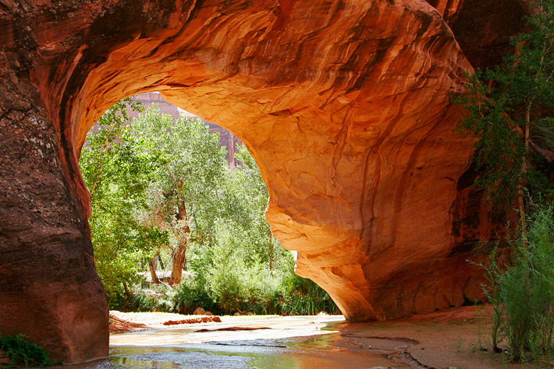 IMG_0949_CoyoteGulch_800.jpg - Coyote Gulch  ©2008