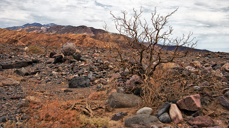 IMG_7703_RAW_800.jpg - Death Valley  ©2008