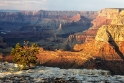 grand_canyon_(9259)_web800